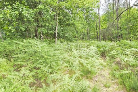 Helårsgrund i Amares, Braga, Amares - € 95.000 | Ref: ZMPT589626 - foto 3
