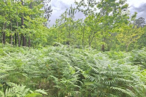 Helårsgrund i Amares, Braga, Amares - € 95.000 | Ref: ZMPT589626 - foto 4