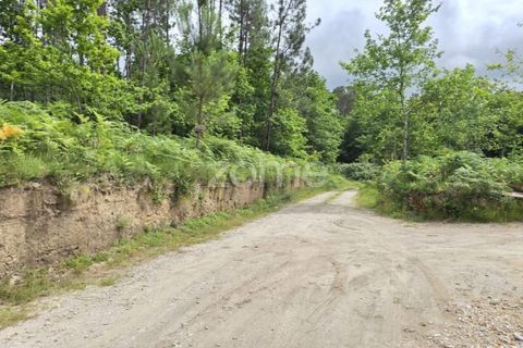 Helårsgrund i Amares, Braga, Amares - € 95.000 | Ref: ZMPT589626 - foto 5