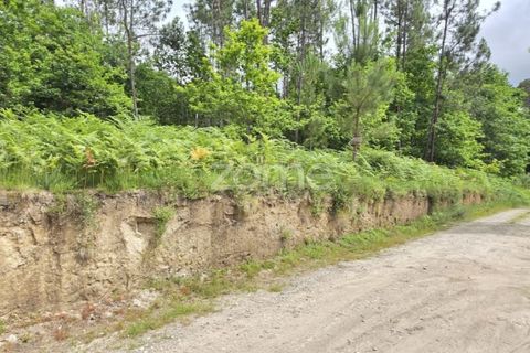 Helårsgrund i Amares, Braga, Amares - € 95.000 | Ref: ZMPT589626 - foto 6
