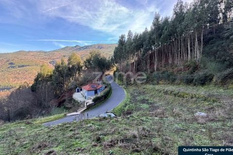 Villa i Cinfaes, Viseu, Cinfaes - € 137.500 | Ref: ZMPT573160 - foto 5