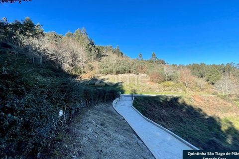 Villa i Cinfaes, Viseu, Cinfaes - € 137.500 | Ref: ZMPT573160 - foto 11