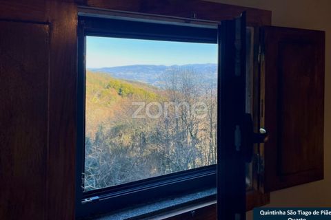 Villa i Cinfaes, Viseu, Cinfaes - € 137.500 | Ref: ZMPT573160 - foto 36