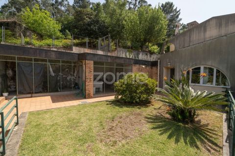 Villa i Braga, Braga, Braga - € 600.000 | Ref: ZMPT589691 - foto 19