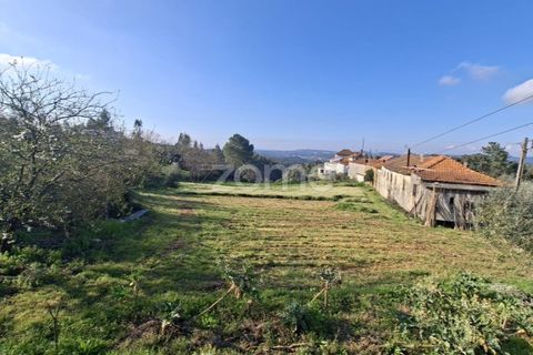 Farm i Arganil, Coimbra, Arganil - € 125.000 | Ref: ZMPT589662 - foto 1