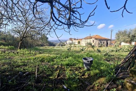 Farm i Arganil, Coimbra, Arganil - € 125.000 | Ref: ZMPT589662 - foto 4