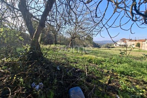 Farm i Arganil, Coimbra, Arganil - € 125.000 | Ref: ZMPT589662 - foto 5