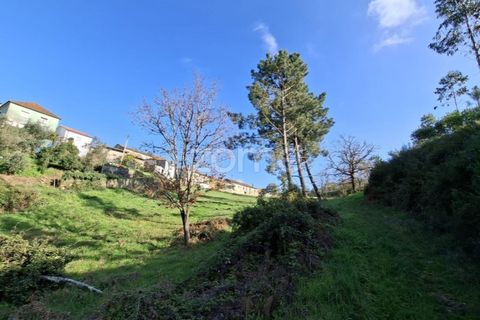 Farm i Arganil, Coimbra, Arganil - € 125.000 | Ref: ZMPT589662 - foto 7
