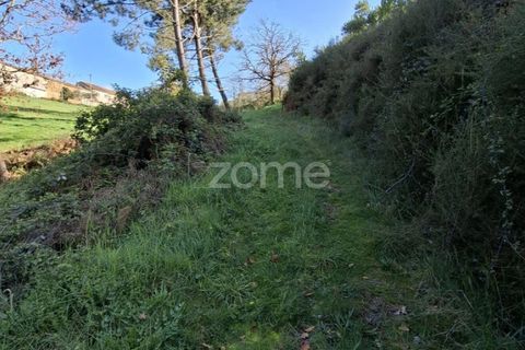 Farm i Arganil, Coimbra, Arganil - € 125.000 | Ref: ZMPT589662 - foto 8