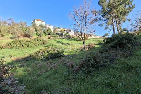 Farm i Arganil, Coimbra, Arganil - € 125.000 | Ref: ZMPT589662 - foto 9