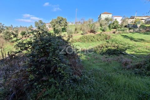 Farm i Arganil, Coimbra, Arganil - € 125.000 | Ref: ZMPT589662 - foto 10