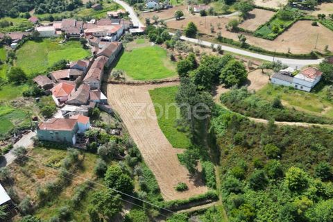 Farm i Arganil, Coimbra, Arganil - € 125.000 | Ref: ZMPT589662 - foto 11