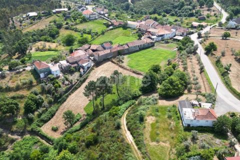 Farm i Arganil, Coimbra, Arganil - € 125.000 | Ref: ZMPT589662 - foto 12