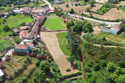 Farm i Arganil, Coimbra, Arganil - € 125.000 | Ref: ZMPT589662 - foto 14