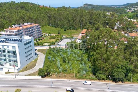 Terra a Cesar, Aveiro, Cesar - € 175.000 | Ref: ZMPT589684 - foto 2