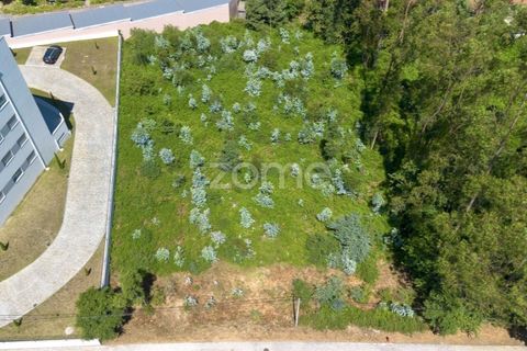 Terra a Cesar, Aveiro, Cesar - € 175.000 | Ref: ZMPT589684 - foto 3