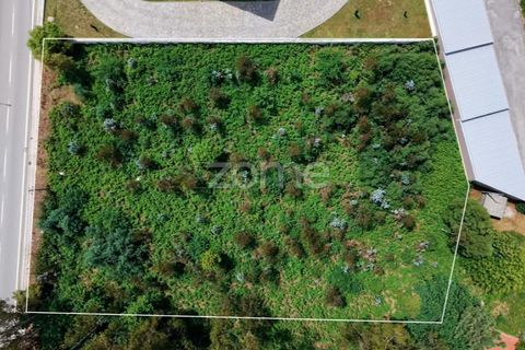Terra a Cesar, Aveiro, Cesar - € 175.000 | Ref: ZMPT589684 - foto 4