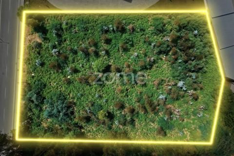 Terra a Cesar, Aveiro, Cesar - € 175.000 | Ref: ZMPT589684 - foto 5