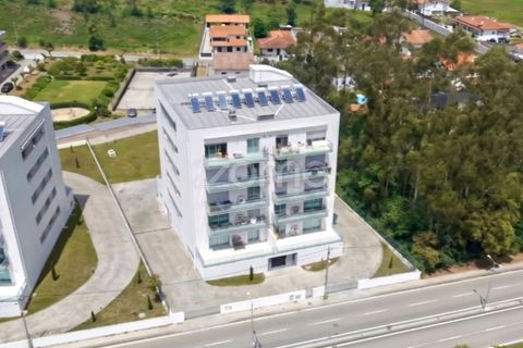 Terra a Cesar, Aveiro, Cesar - € 175.000 | Ref: ZMPT589684 - foto 6