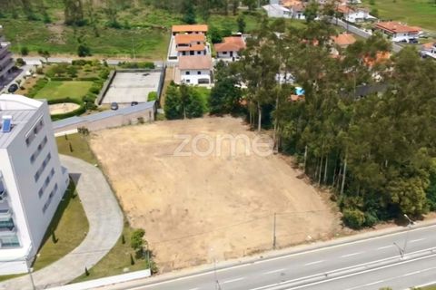 Terra a Cesar, Aveiro, Cesar - € 175.000 | Ref: ZMPT589684 - foto 8