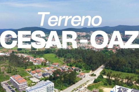 Terra a Cesar, Aveiro, Cesar - € 175.000 | Ref: ZMPT589684 - foto 13