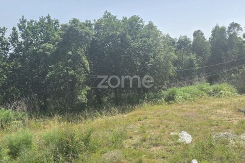 Helårsgrund i Vila Verde, Braga, Vila Verde - € 95.000 | Ref: ZMPT589480 - foto 3
