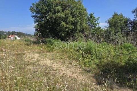 Helårsgrund i Vila Verde, Braga, Vila Verde - € 95.000 | Ref: ZMPT589480 - foto 8