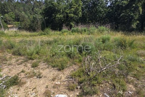 Helårsgrund i Vila Verde, Braga, Vila Verde - € 95.000 | Ref: ZMPT589480 - foto 11