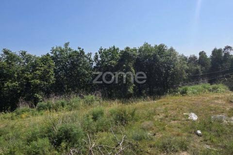 Helårsgrund i Vila Verde, Braga, Vila Verde - € 95.000 | Ref: ZMPT589480 - foto 12