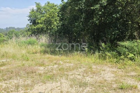 Helårsgrund i Vila Verde, Braga, Vila Verde - € 95.000 | Ref: ZMPT589480 - foto 2