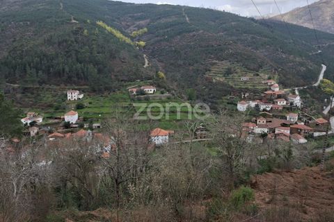 Villa i Cepos e Teixeira, Coimbra, Cepos e Teixeira - € 79 500 | Ref: ZMPT586016 - foto 3