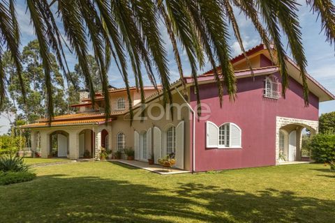 Villa i Talhadas, Aveiro, Talhadas - € 395.000 | Ref: ZMPT589588 - foto 4
