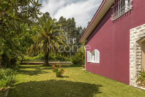 Villa i Talhadas, Aveiro, Talhadas - € 395.000 | Ref: ZMPT589588 - foto 40
