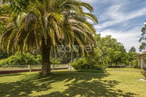 Villa i Talhadas, Aveiro, Talhadas - € 395.000 | Ref: ZMPT589588 - foto 41