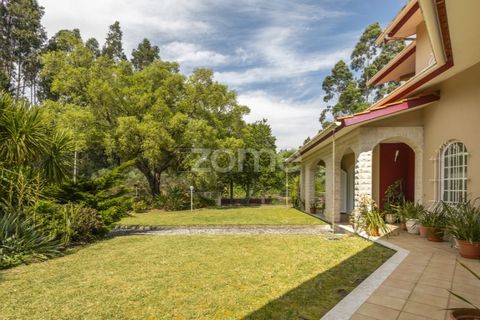 Villa i Talhadas, Aveiro, Talhadas - € 395.000 | Ref: ZMPT589588 - foto 42