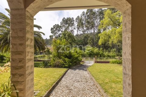 Villa i Talhadas, Aveiro, Talhadas - € 395.000 | Ref: ZMPT589588 - foto 43