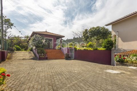 Villa i Talhadas, Aveiro, Talhadas - € 395.000 | Ref: ZMPT589588 - foto 45