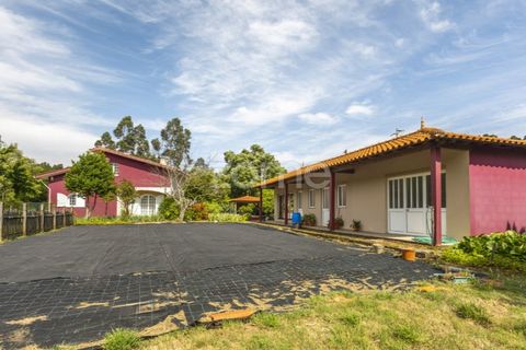 Villa i Talhadas, Aveiro, Talhadas - € 395.000 | Ref: ZMPT589588 - foto 47