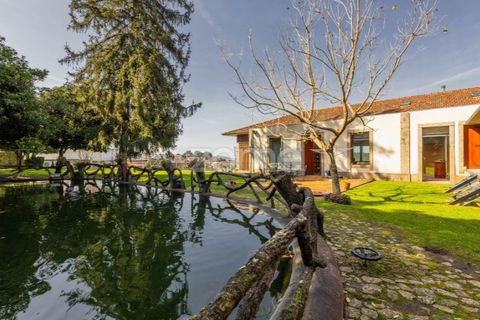 Villa i Braga, Braga, Braga - € 1.500.000 | Ref: ZMPT589603 - foto 25