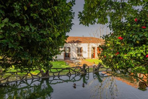Villa i Braga, Braga, Braga - € 1.500.000 | Ref: ZMPT589603 - foto 28