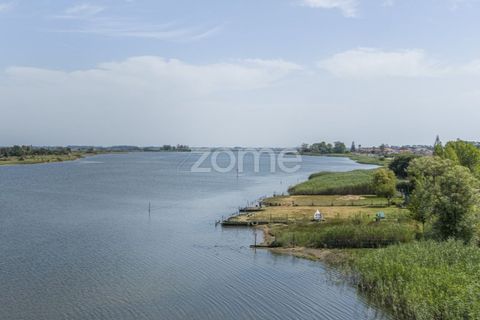 Villa i Ovar, Aveiro, Ovar - € 850.000 | Ref: ZMPT589553 - foto 29