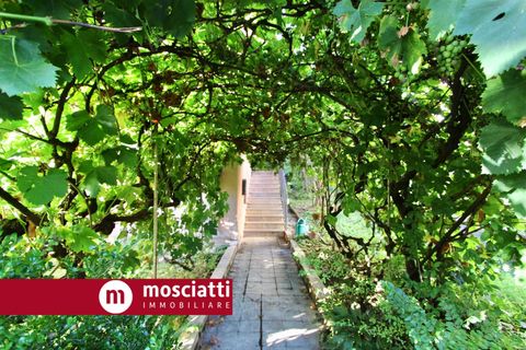 Lejlighed i Matelica, Macerata, Matelica - € 134.000 | Ref: 1329 - foto 4