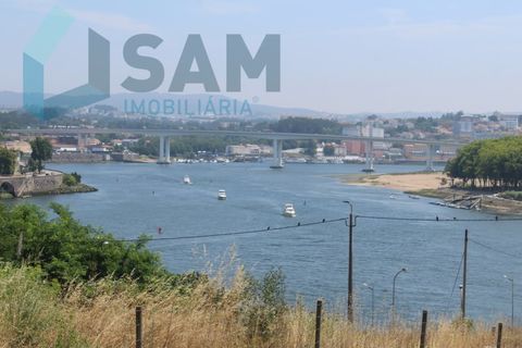 Erhvervsejendom i Oliveira do Douro, Porto, Oliveira do Douro - € 3.500.000 | Ref: PT/RS002-26 - foto 2