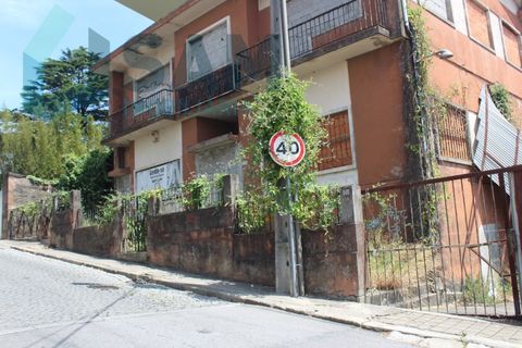 Erhvervsejendom i Oliveira do Douro, Porto, Oliveira do Douro - € 3.500.000 | Ref: PT/RS002-26 - foto 3