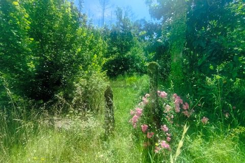 Villa i Caminha, Viana do Castelo, Caminha - € 185.000 | Ref: 661531004 - foto 15