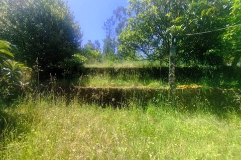 Villa i Caminha, Viana do Castelo, Caminha - € 185.000 | Ref: 661531004 - foto 16