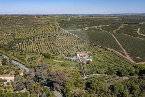 Villa i Campo Maior, Portalegre, Campo Maior - € 1.430.000 | Ref: PE-123751707-2 - foto 2