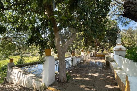 Villa i Campo Maior, Portalegre, Campo Maior - € 1.430.000 | Ref: PE-123751707-2 - foto 25