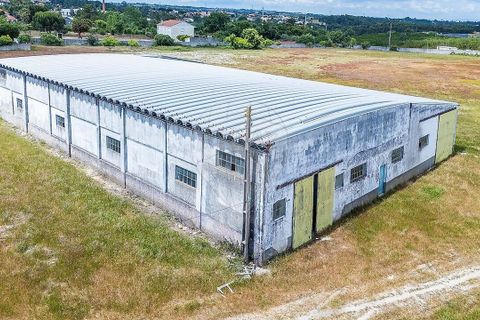 Farm i Pontevel, Santarem, Pontevel - € 1.700.000 | Ref: PE-123751241-136 - foto 3