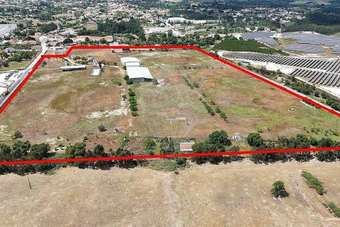 Farm i Pontevel, Santarem, Pontevel - € 1.700.000 | Ref: PE-123751241-136 - foto 4